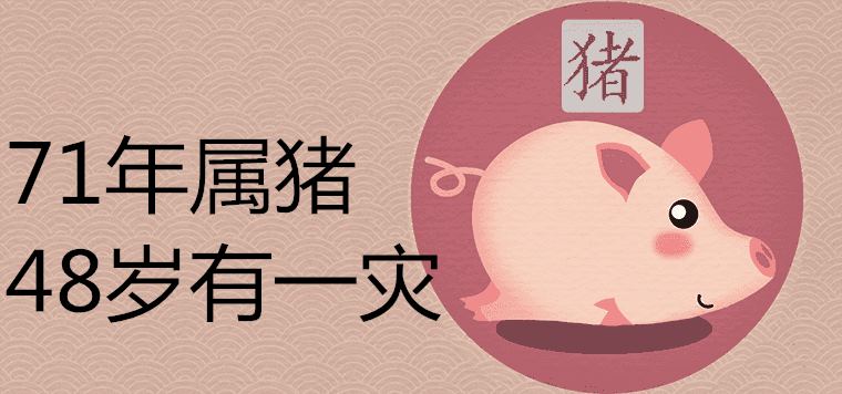 71 year of the year of the pig is 48 years old and there is a disaster