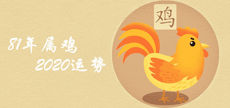 How is the fortune of the 81 year Rooster this year