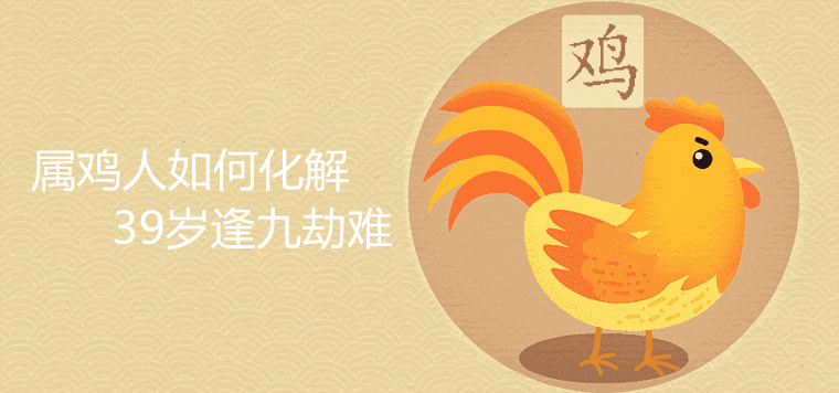 Why are the six relatives indifferent to the Rooster