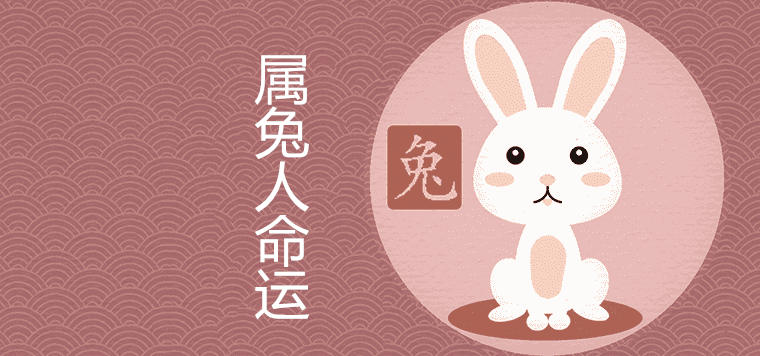 When is life born in the year of the rabbit