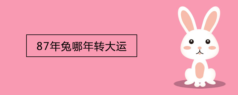 토끼가 1987년 유니버시아드로 향하는 해