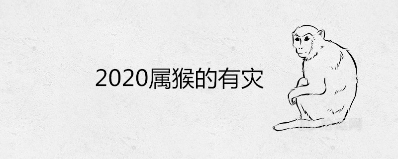 2020년 원숭이 재앙에 대해 뭐라고 합니까?