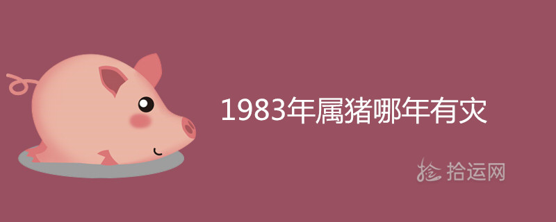 1983년 돼지의 해는 재앙의 해