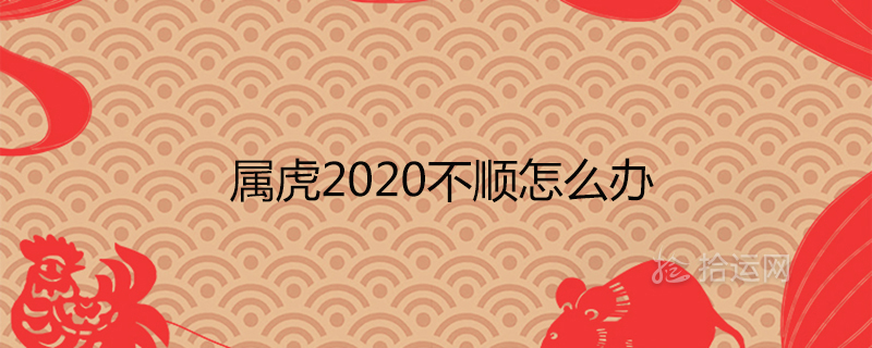 2020년이 매끄럽지 않으면 어떻게 해야 하나요?