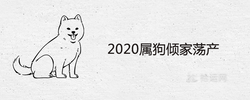 Is it true that the dog will go bankrupt in 2020