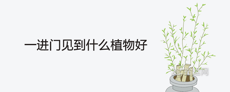 문에 들어서면 어떤 식물이 보이죠?