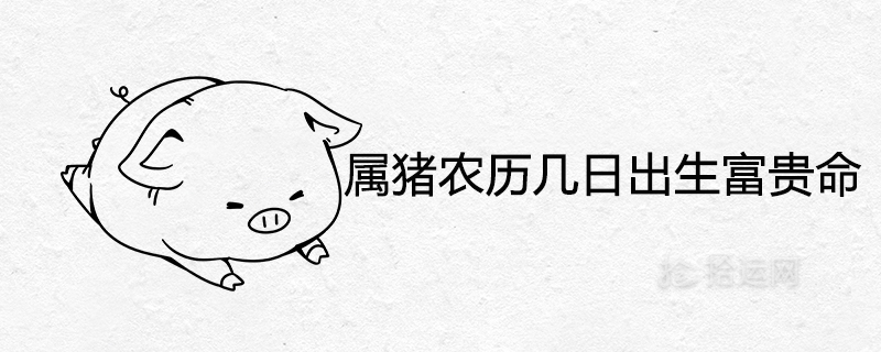 What day of the pig is born in the lunar calendar