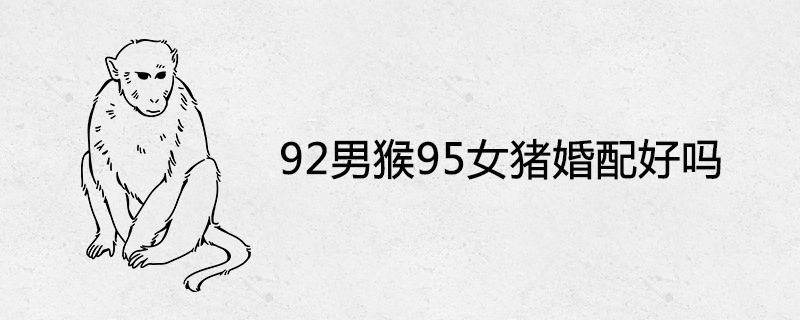 92 수컷 원숭이 95 암컷 돼지 결혼?