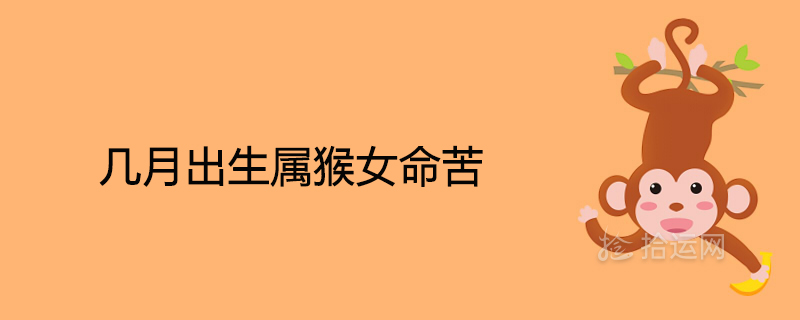 몇 달 안에 태어난 암컷 원숭이는 힘든 삶을 살고 있습니다.