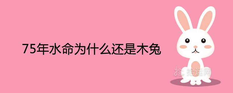 75년의 물 생활은 여전히 ​​나무 토끼입니다