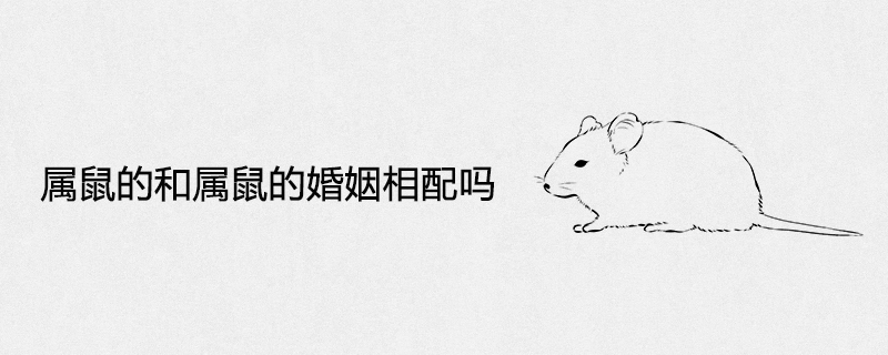 쥐의 결혼 생활은 쥐와 호환됩니까? 쥐와 쥐의 결혼 생활이 호환됩니까?