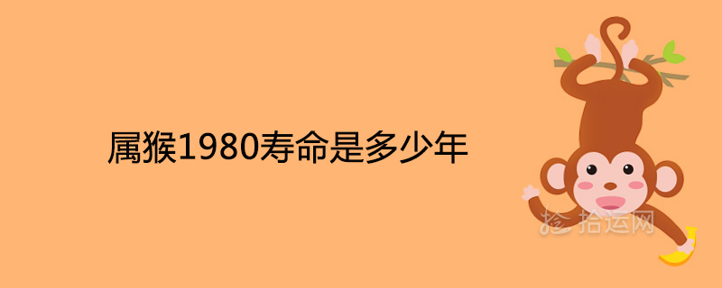 1980년 원숭이의 기대 수명은 얼마입니까