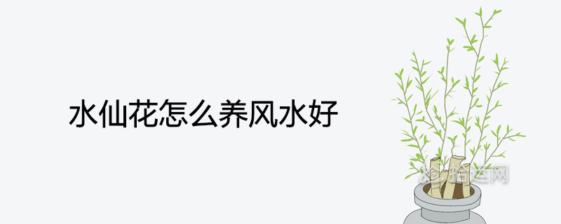 풍수에 좋은 수선화 보관법