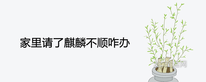 집에 유니콘이 있으면 어떻게 해야 하나요?