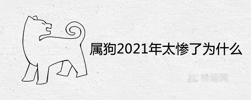 The year of the dog is so miserable in 2021, why