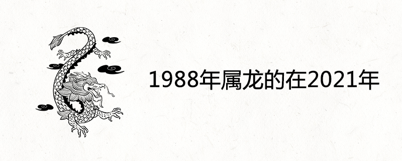 2021년의 1988년 용은 어떻습니까