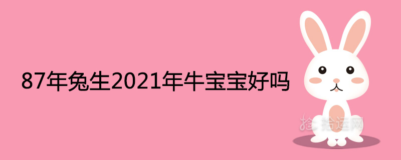 87년 토끼 2021년 태어난 아기 암소