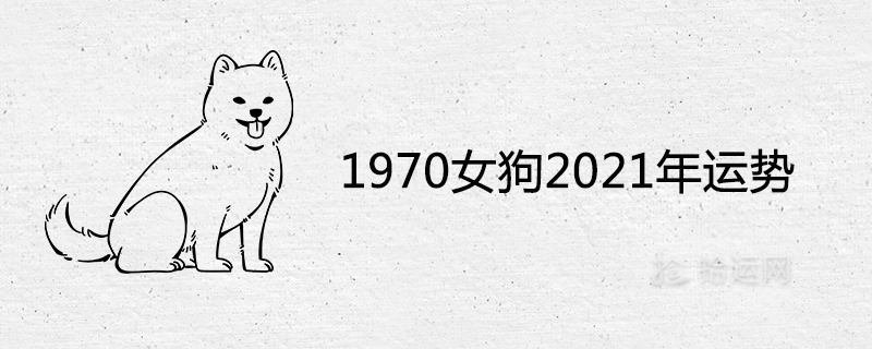 1970 암컷 개 2021년 운세 상세 분석