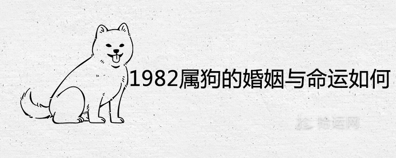 1982 개의 결혼과 운명