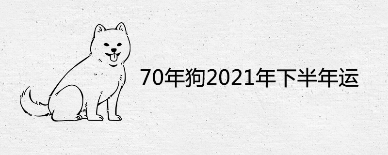 70 Years Dog in the second half of 2021