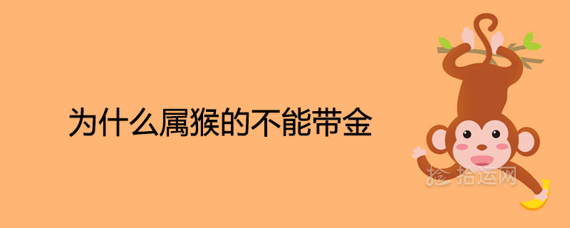 원숭이가 금을 가질 수 없는 이유