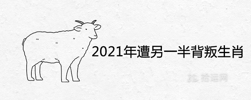 2021 황도대 배반