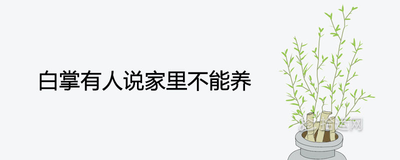 하얀 손바닥은 집에서 들 수 없다고 말하는 사람들이 있습니다.