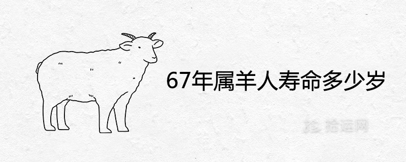 What is the life expectancy of a Sheep in 67 years