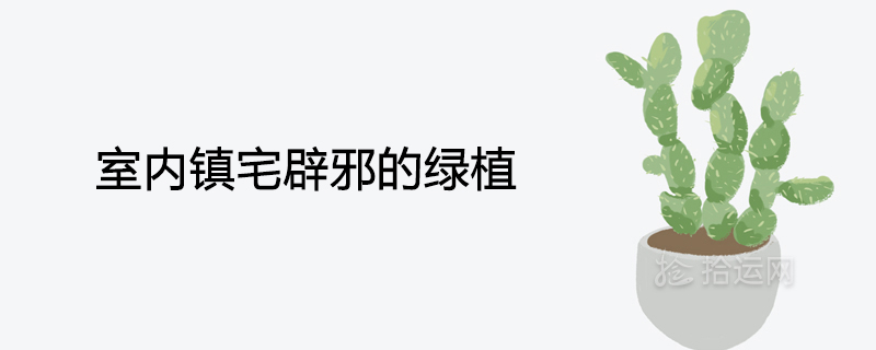 악령을 쫓는 녹색 식물이 있는 실내 타운 하우스