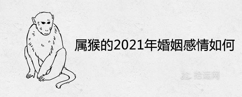 2022 원숭이의 결혼과 사랑