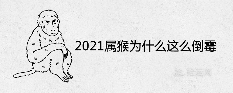 2021년 원숭이는 왜 그렇게 불운하고 파산했습니까?