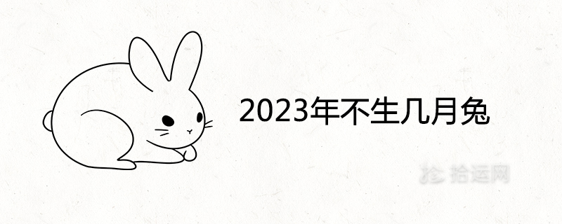 2023 Monthly Rabbit