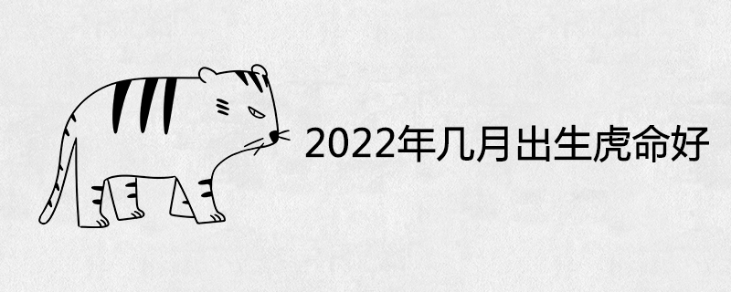 타이거 라이프는 2022년에 태어난 최고의 선수