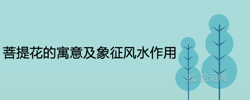 린든의 의미와 풍수의 역할