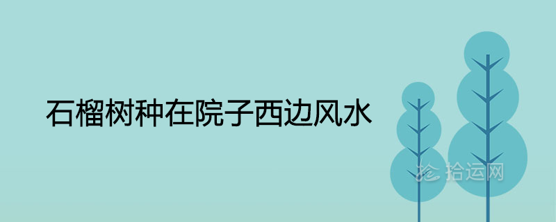 마당 서쪽에 심은 석류나무가 풍수에 좋은가요?