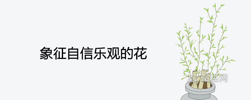 자신감과 낙관주의를 상징하는 꽃