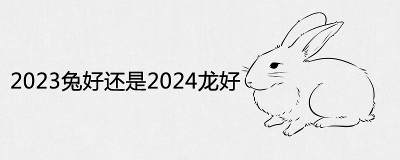 2023 토끼 또는 2024 용