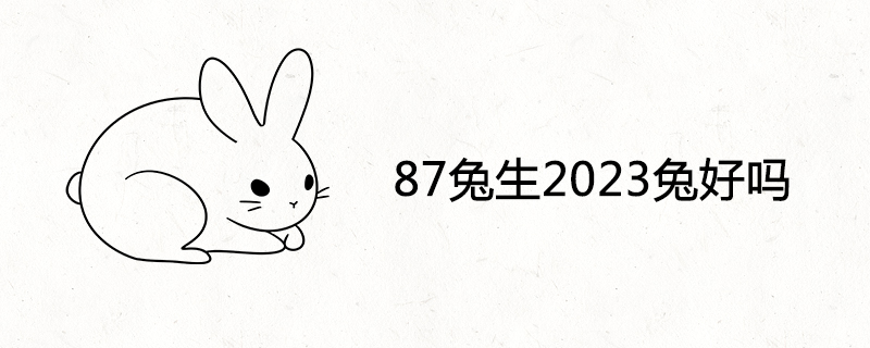 87 토끼는 2023년에 태어났습니다 토끼는 좋습니다