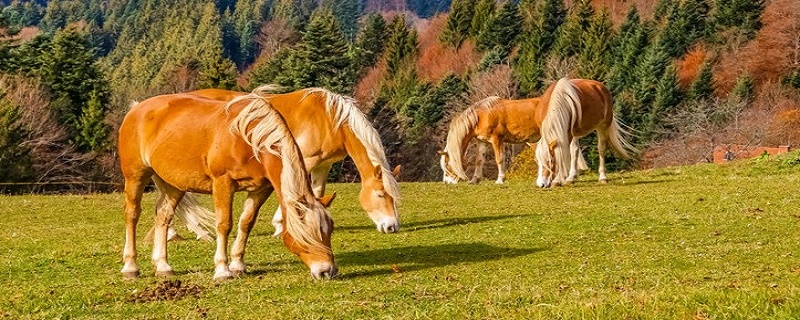 더 부자가 된다는 것이 사실입니까?